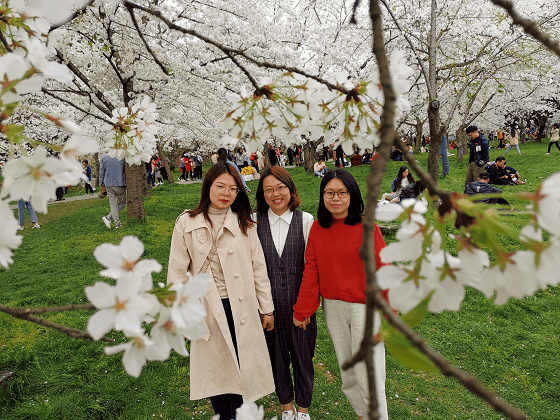 three girls under the tree