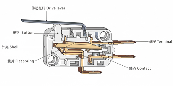 Structure of RV Micro Switch