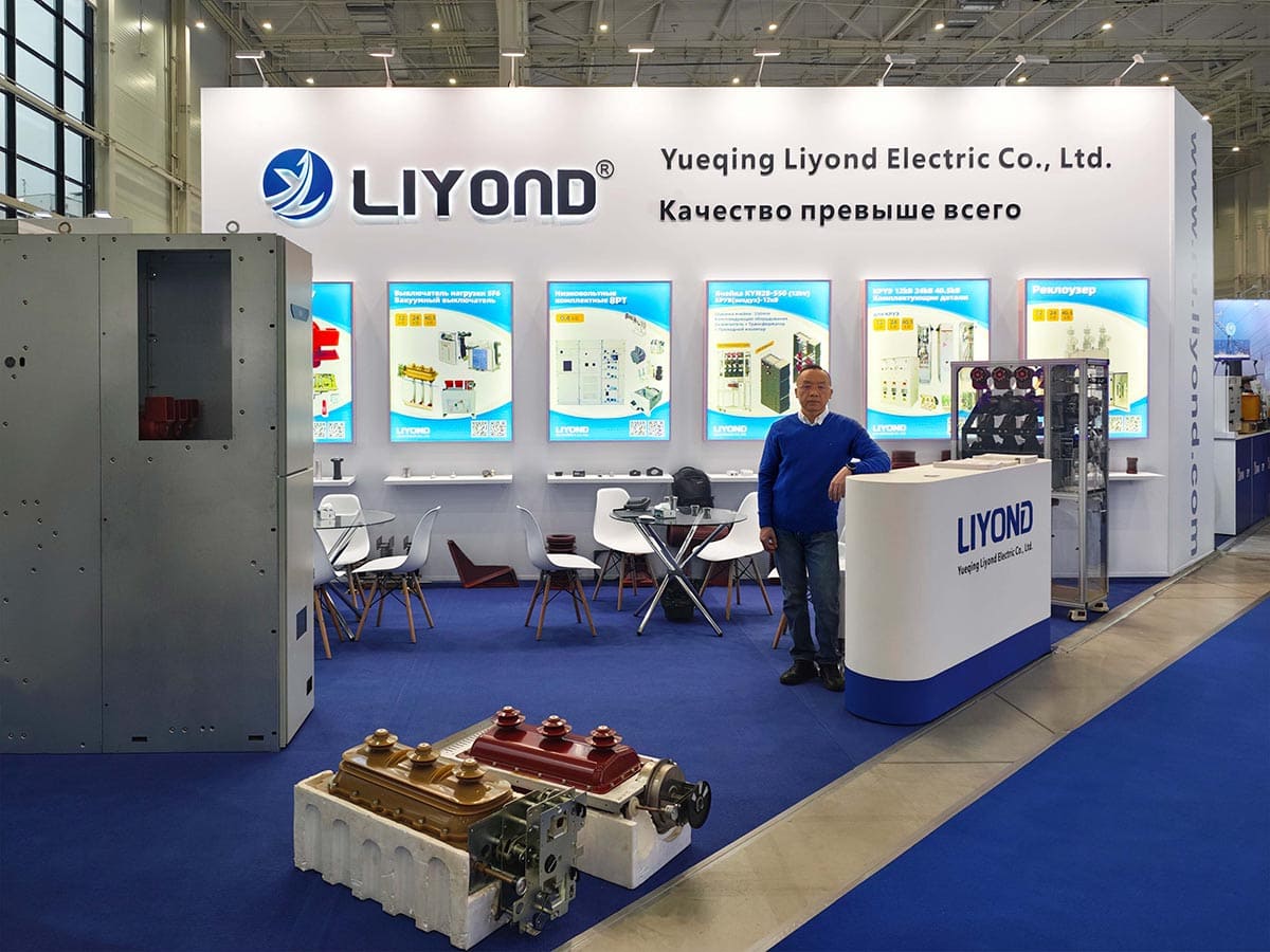 Electric Networks of Russia 2025 (2)