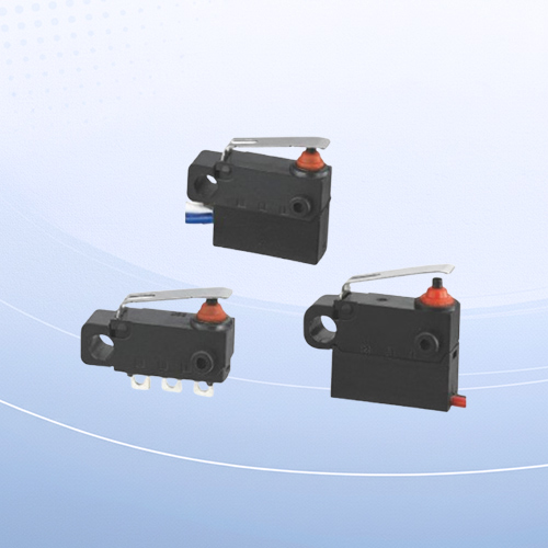 Liyond RD2FW Waterproof Micro Switch