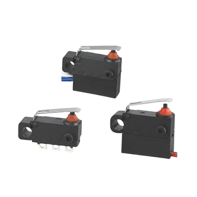 RD2FW Waterproof Micro Switch